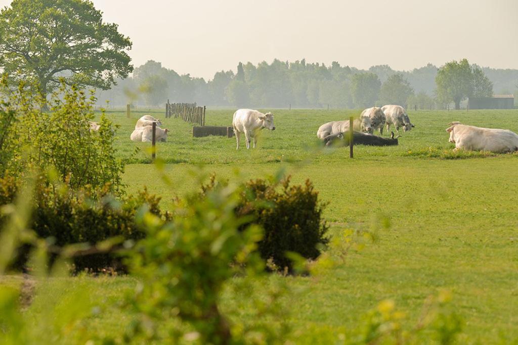 Domein Het Weiland Damme Kültér fotó